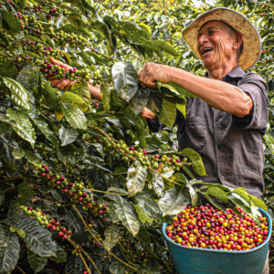 Colombia en 5 días: Entre los Andes, el arte urbano y el aroma del café